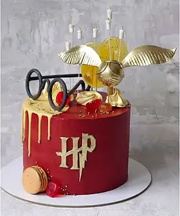 Торт Гарри Поттер №16