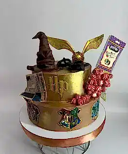 Торт Гарри Поттер №2