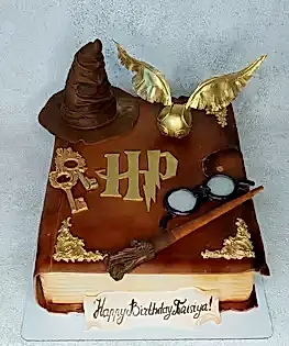 Торт Гарри Поттер №5