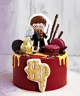 Торт Гарри Поттер №6