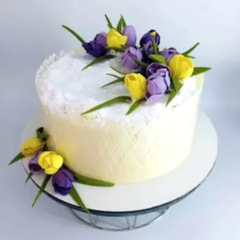 1eXbcb3H5BA5CV6f69PWwikprDyEzsY-2