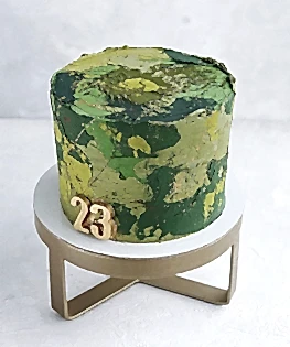 Торт на 23 февраля №10