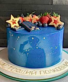 Торт на 23 февраля №11