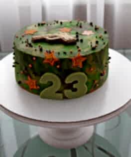 Торт на 23 февраля №15