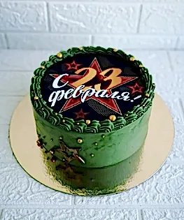 Торт на 23 февраля №9