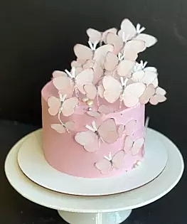 С бабочками №2