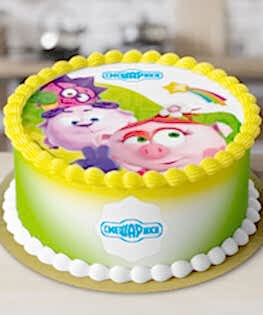 Торт Смешарики №6