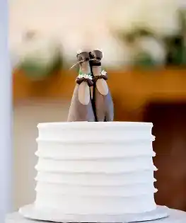 Свадебный торт с выдрами