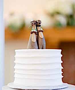 Свадебный торт с выдрами