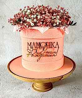 Торт для мамы с гипсофилой и топпером