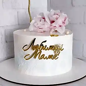 WhatsApp Image 2024-10-03 at 10.21.50