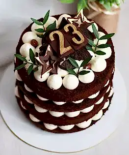 Торт цифра на 23 февраля  №3