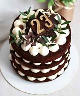 Торт цифра на 23 февраля  №3
