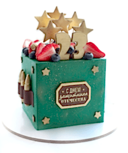 Торт на 23 февраля  квадратный