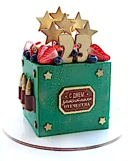 Торт на 23 февраля  квадратный