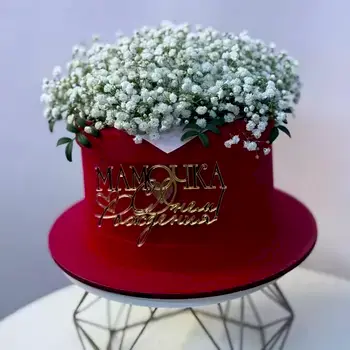 WhatsApp Image 2025-01-31 at 16.50.14